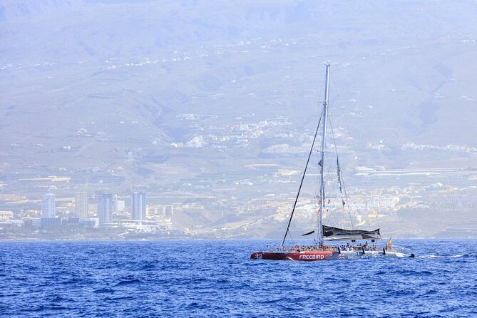 Adults Only Tenerife Freebird Whale Dolphin Catamaran with Lunch - Pickup, timing, and the details that matter