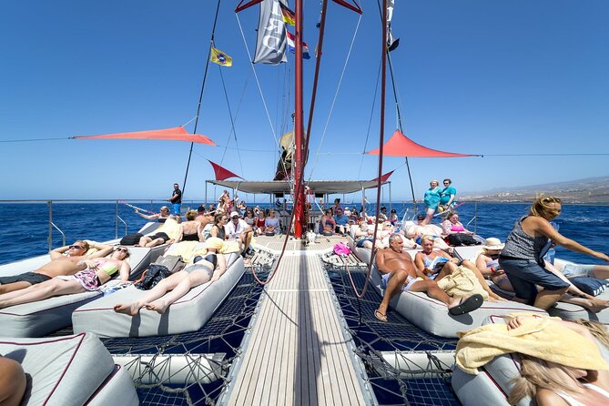 Adults Only Tenerife Freebird Whale Dolphin Catamaran with Lunch - Watching whales and dolphins in Tenerife
