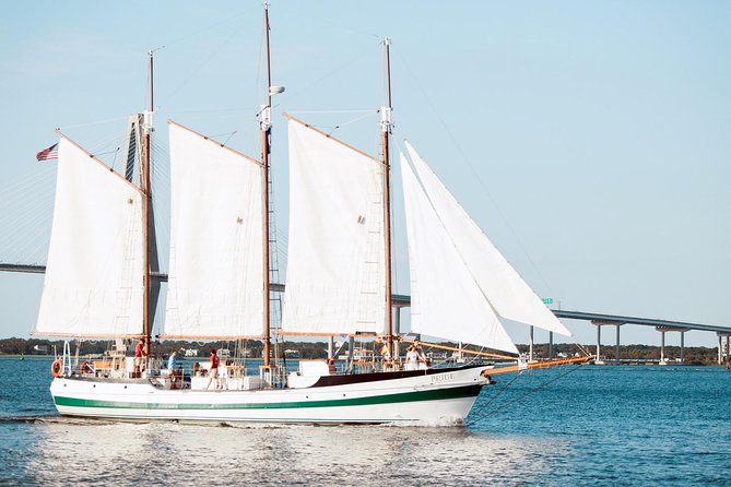Afternoon Schooner Sightseeing Dolphin Cruise on Charleston Harbor - Why the no-narration format can work