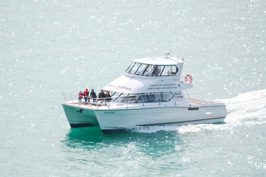 Akaroa: Dolphin Nature Cruise - Setting out across Akaroa Harbour