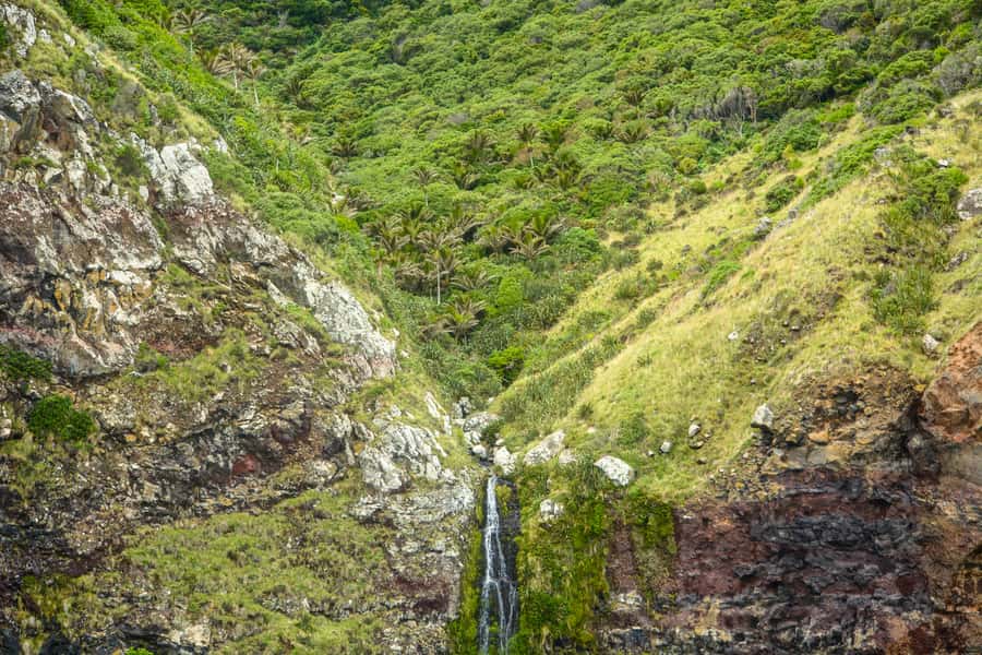 Akaroa: Dolphin Nature Cruise - Drinks, cookies, and a boat that feels cared for