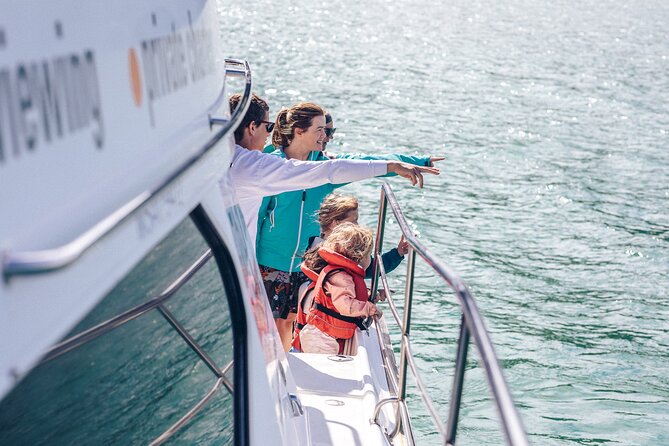 Akaroa Dolphins ~ Harbour Nature Cruise - A roomy catamaran with useful comfort