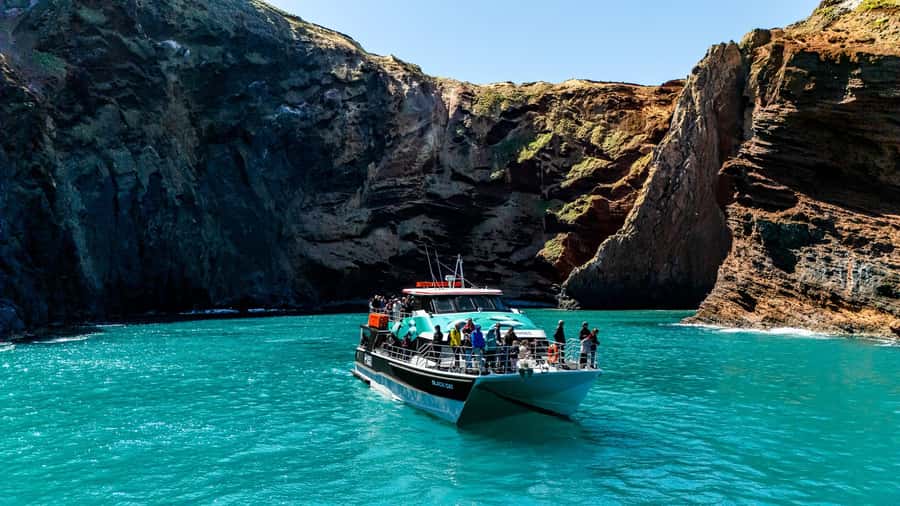 Akaroa Harbour 2-Hour Dolphin Nature Cruise - Leaving Akaroa Wharf for the volcanic harbour