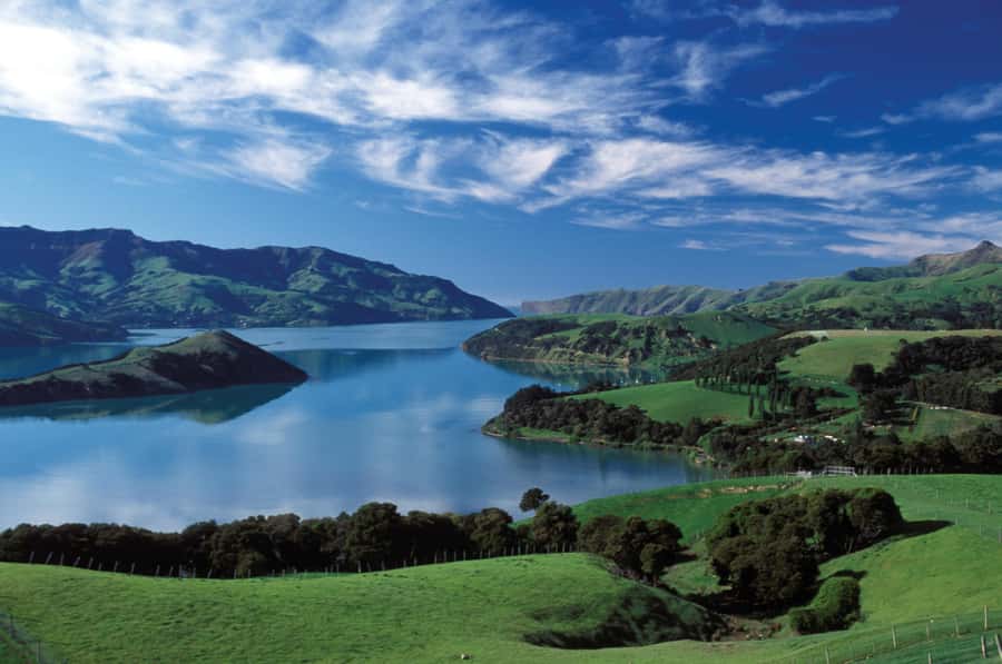 Akaroa Harbour 2-Hour Dolphin Nature Cruise - Searching for Hector’s dolphins near Akaroa