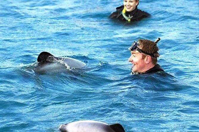 Akaroa Swim with Dolphins Tour from Christchurch - The 8:30 am pickup from Christchurch