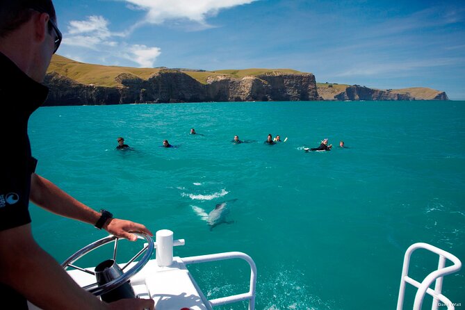 Akaroa Swim with Dolphins Tour from Christchurch - What swimming with Hector’s dolphins really requires