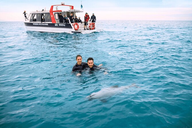Akaroa Swim with Dolphins Tour from Christchurch - Responsible wildlife rules make the encounter better