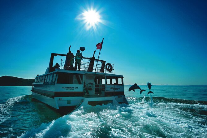 Akaroa Swim with Dolphins Tour from Christchurch - Barry’s Bay cheese tasting