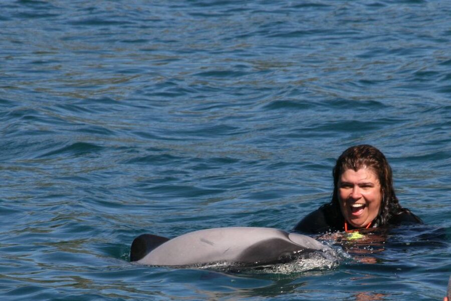 Akaroa: Swimming with Wild Dolphins Experience - Cruising past cliffs, seals, and seabirds