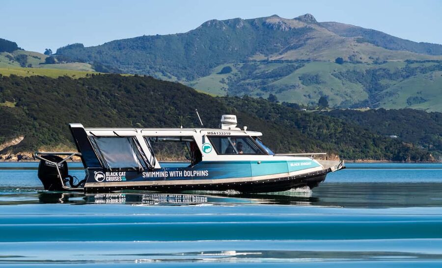 Akaroa: Swimming with Wild Dolphins Experience - Finding the Hector’s dolphins