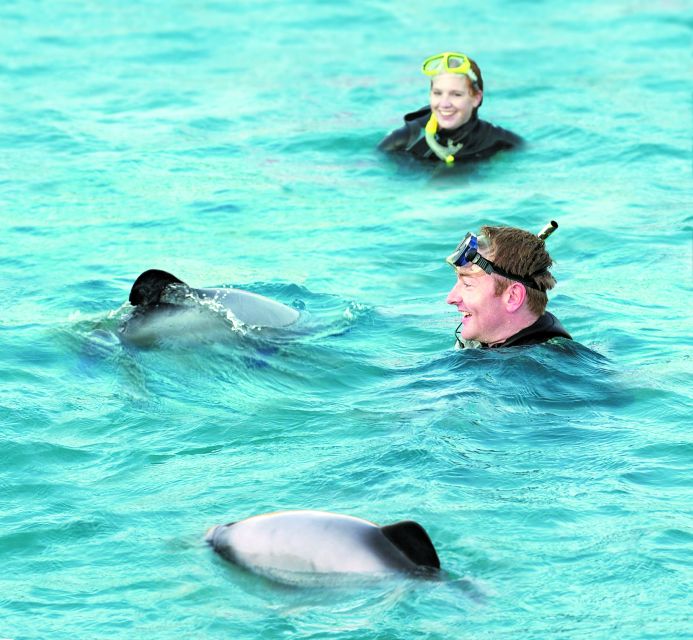 Akaroa: Swimming with Wild Dolphins Experience - Who will enjoy this most