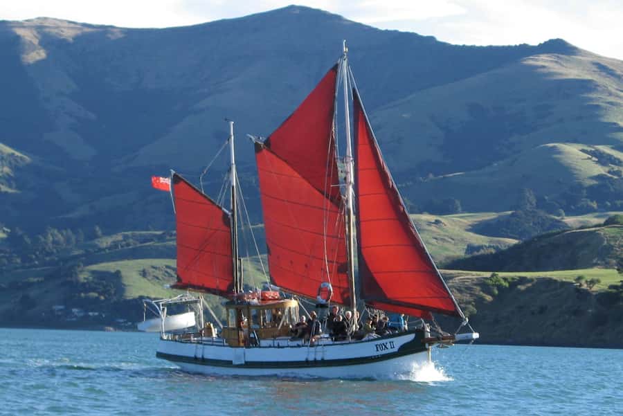 Akaroa: Wildlife Cruise with Dolphins and Penguins - Key things to know before sailing