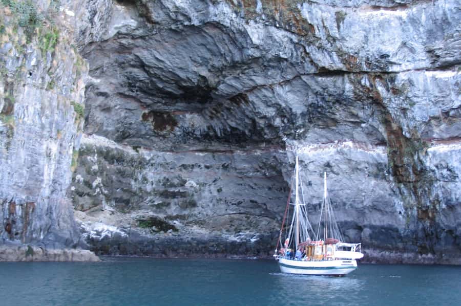 Akaroa: Wildlife Cruise with Dolphins and Penguins - Sailing inside Akaroa Harbour