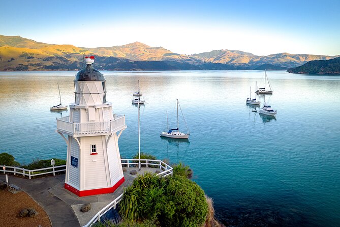 Akaroa with optional dolphin cruise (Small Group Tour) - Key points to know before booking