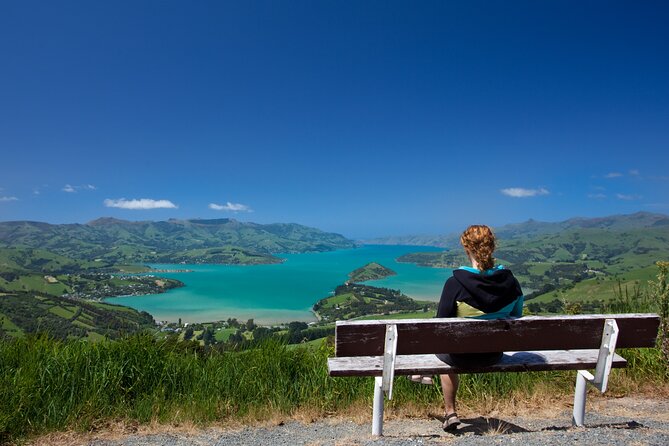 Akaroa with optional dolphin cruise (Small Group Tour) - Little River, a small stop with local flavor