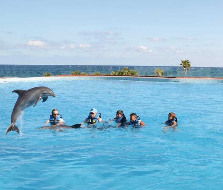 Akumal: Dolphin Encounter - The real cost: $99 plus possible photo charges