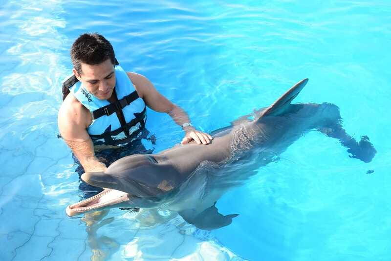 Akumal: Dolphin Encounter - How this fits into a day in Akumal