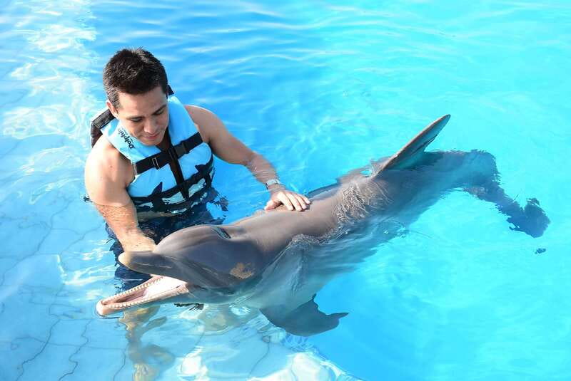 Akumal: Dolphin Encounter - Meeting the dolphins in a managed habitat