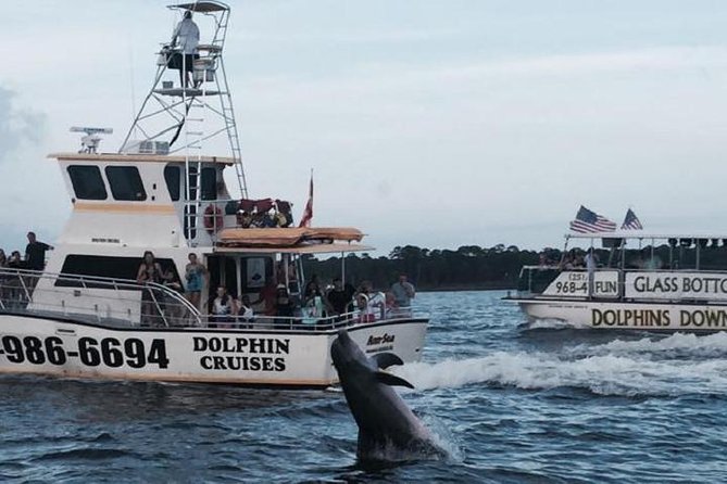 Alabama Gulf Coast Dolphin Cruise - Key things to know before you book
