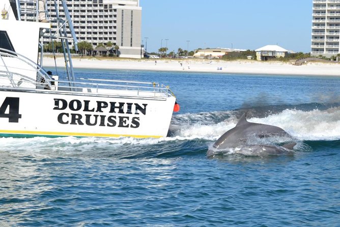 Alabama Gulf Coast Dolphin Cruise - What the trip is worth for families and couples