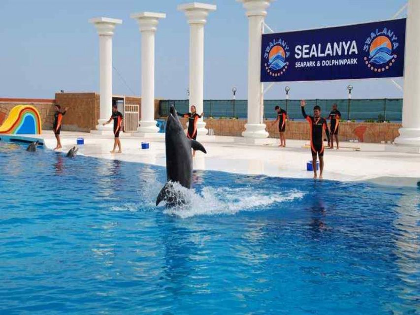 Alanya: Dolphin and Seal Show Ticket with Hotel Transfers - Key Points Before You Book