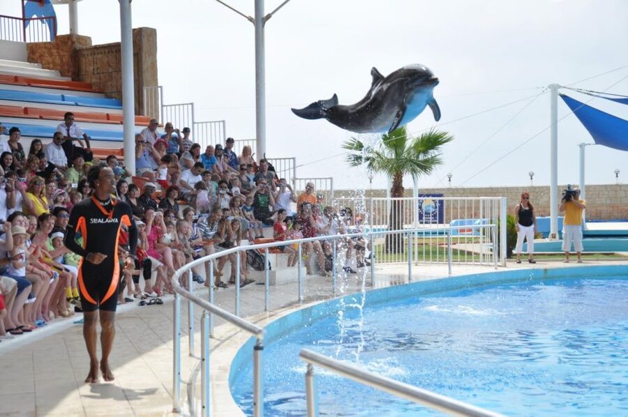 Alanya: Dolphin and Seal Show Ticket with Hotel Transfers - Should You Book This Dolphin and Seal Show?