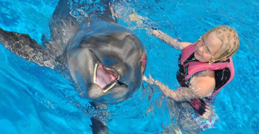 Alanya: Dolphin and Seal Show Ticket with Hotel Transfers - The Dolphin Performance