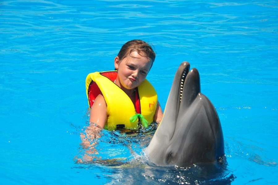 Alanya: Dolphin and Seal Show Ticket with Hotel Transfers - How Long the Visit Really Feels