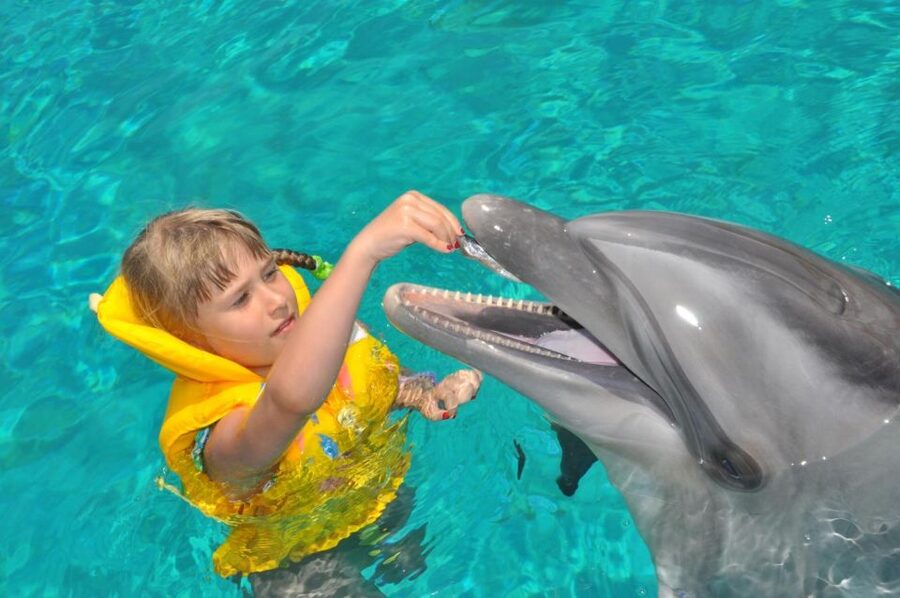 Alanya: Dolphin and Seal Show Ticket with Hotel Transfers - The Real Cost: Show, Transport, and Extras