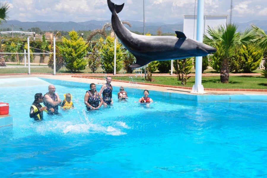 Alanya: Dolphin and Seal Show Ticket with Hotel Transfers - Practical Tips for a Better Seat and Smoother Visit