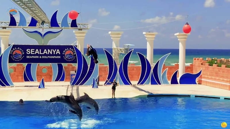 Alanya: Sealanya Dolphinpark Dolphin Show Tour - Choosing a seat in the C-shaped stand