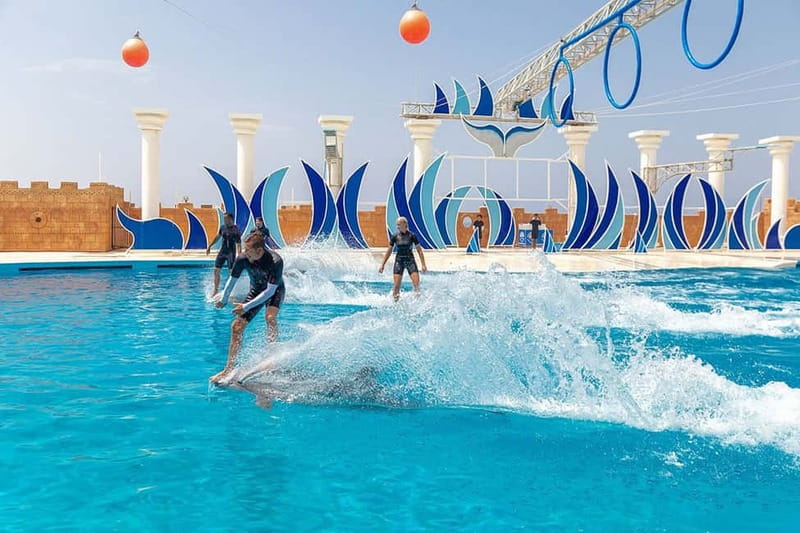 Alanya: Sealanya Dolphinpark Dolphin Show Tour - Swimming with dolphins and seals costs extra