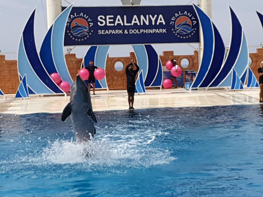 Alanya: Sealanya Dolphinpark Dolphin Show Tour - Is $53 good value for a family?