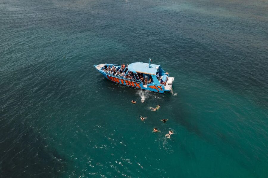 Albufeira: 2.5-Hour Dolphin Watching and Caves Trip - What the 2.5-hour timing really means