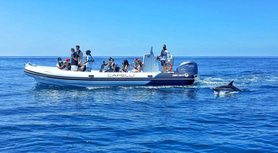 Albufeira: Benagil Cave and Dolphin Sightseeing Boat Cruise - Getting to Oceaneye Algarve at Gate 3
