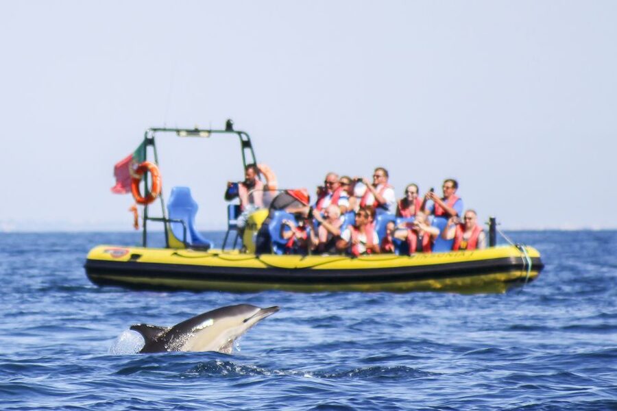 Albufeira: Benagil Caves & Dolphin Watching Speed Boat Tour - What the Albufeira to Benagil route delivers