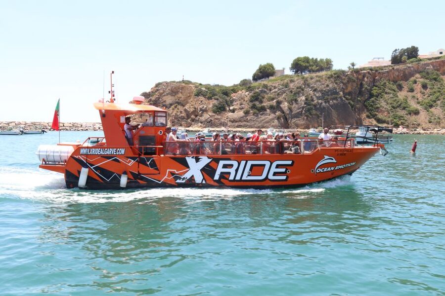 Albufeira: Dolphin Watching and Benagil Cave - A $34 view of the Algarve coast