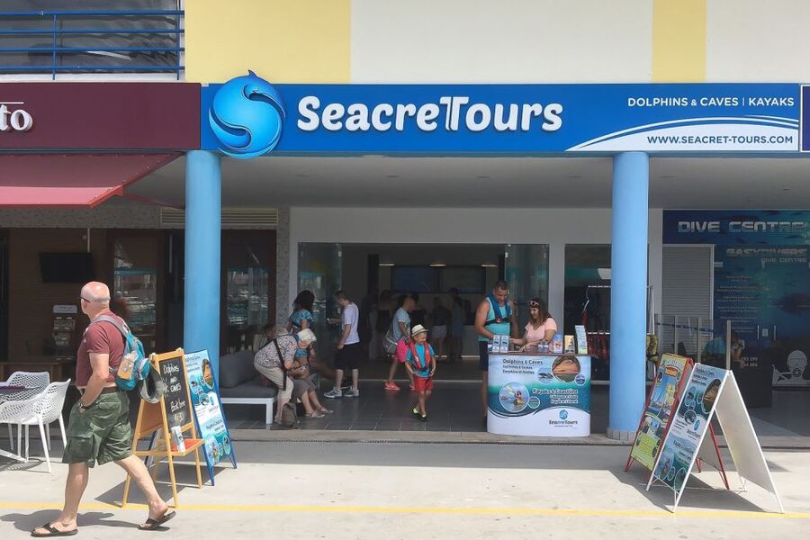 Albufeira: Dolphin Watching and Benagil Cave Boat Cruise - Key points at a glance