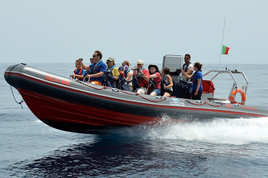 Albufeira: Dolphin Watching and Benagil Cave Boat Cruise - The Algarve coast from the water