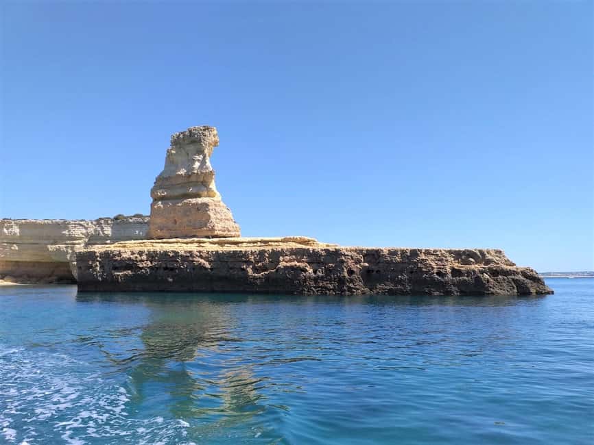 Albufeira: Dolphin Watching and Benagil Cave Boat Cruise - Is the $35 price good value?