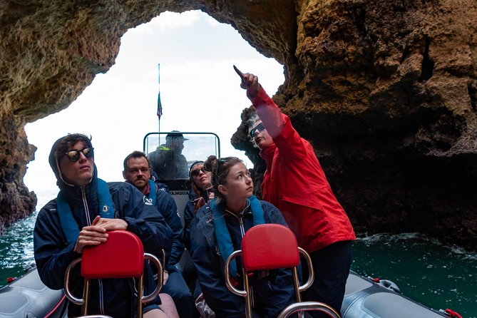 Albufeira: Dolphins and Caves Private Tour - Watching for dolphins in open water