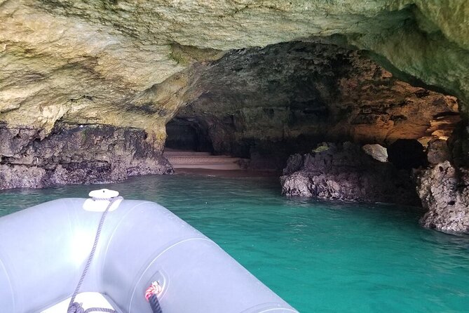 Albufeira: Dolphins and Caves Tour - Is $36.28 good value?