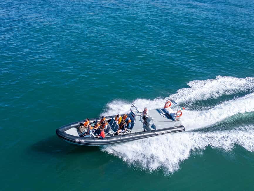Albufeira: Dolphins & Benagil Caves RIB Tour - Forty-five minutes searching for dolphins