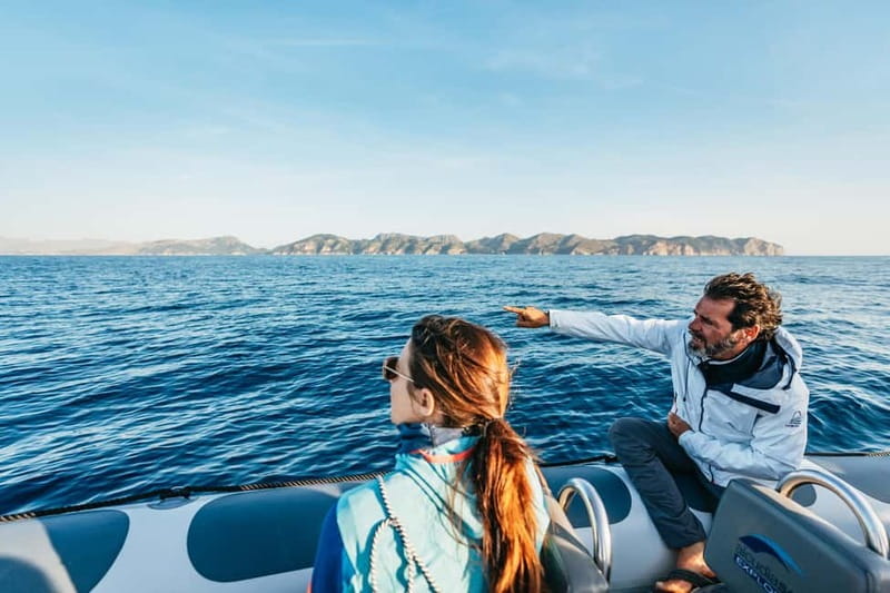 Alcudia or Can Picafort: Dolphin-Watching Cruise - Key points at a glance