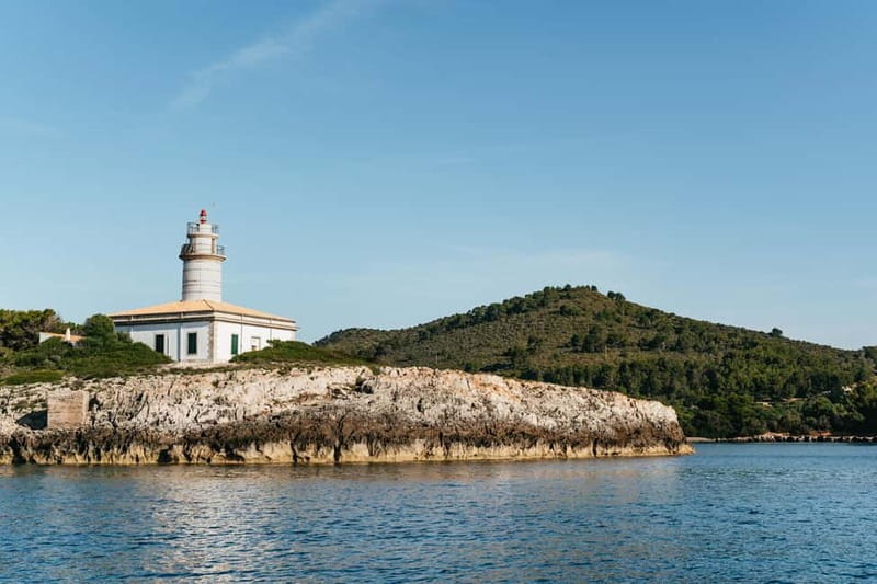 Alcudia or Can Picafort: Dolphin-Watching Cruise - A three-hour cruise with two very different moods