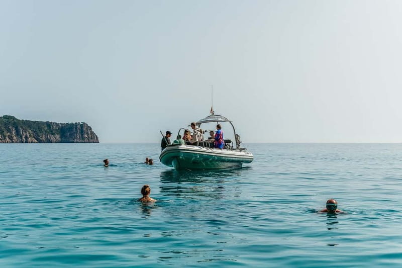 Alcudia or Can Picafort: Dolphin-Watching Cruise - Cabo Formentor and the coast from below