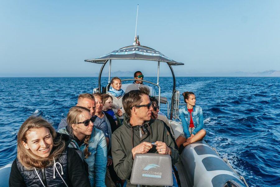 Alcudia or Can Picafort: Dolphin-Watching Cruise - What to wear and bring for the boat