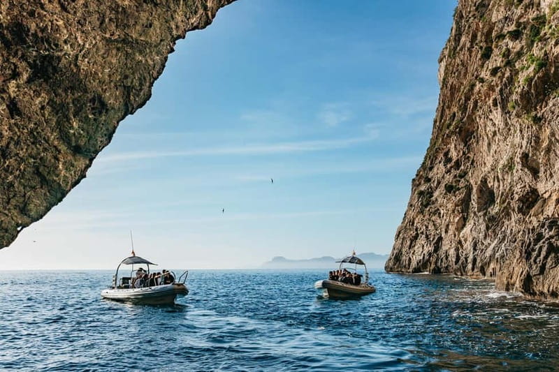 Alcudia or Can Picafort: Dolphin-Watching Cruise - Getting to Port d’Alcudia without a last-minute scramble