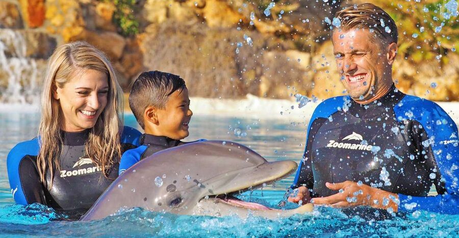 Algarve Zoomarine Ticket and Dolphin Emotions Experience - Key points to know before you book