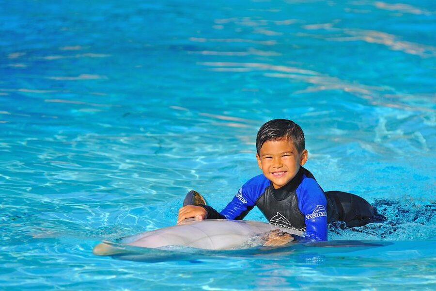 Algarve Zoomarine Ticket and Dolphin Emotions Experience - Should you book the Algarve dolphin experience?